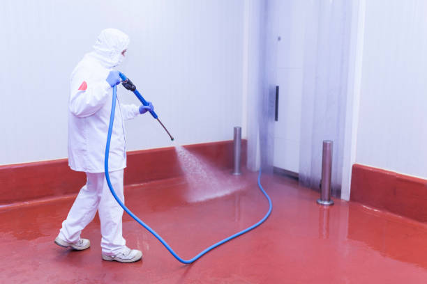 Best Parking Lot Cleaning in Elizabeth City, NC