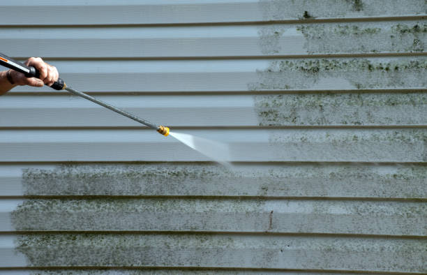 Best Window and Screen Pressure Cleaning in Elizabeth City, NC