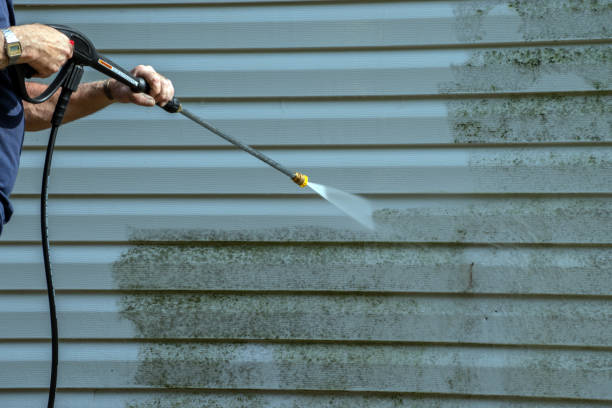 Best Brick and Stone Cleaning in Elizabeth City, NC